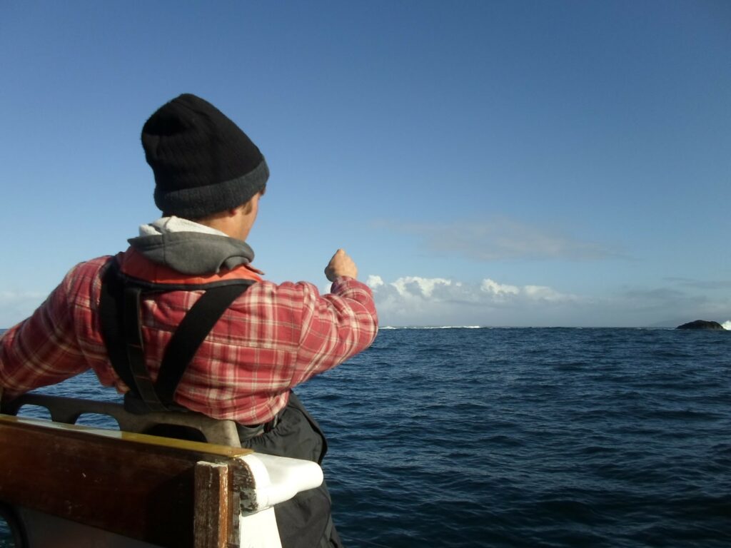 RYA Day Skipper student spots a whale on the horizon.