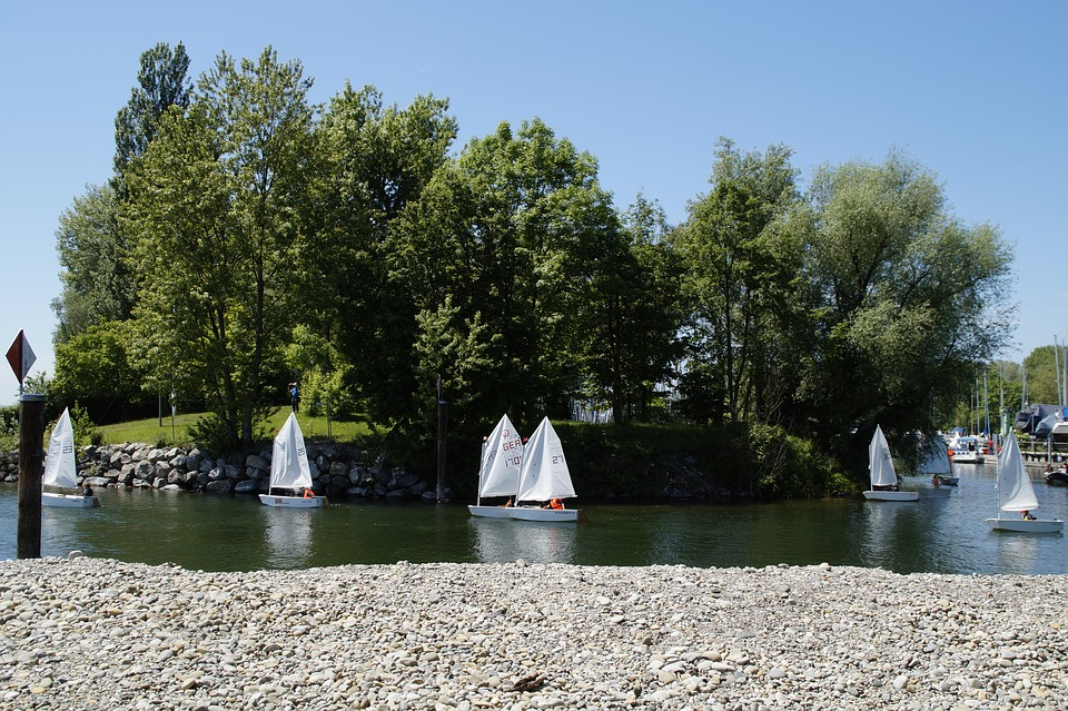 Sailing dinghies on a river.