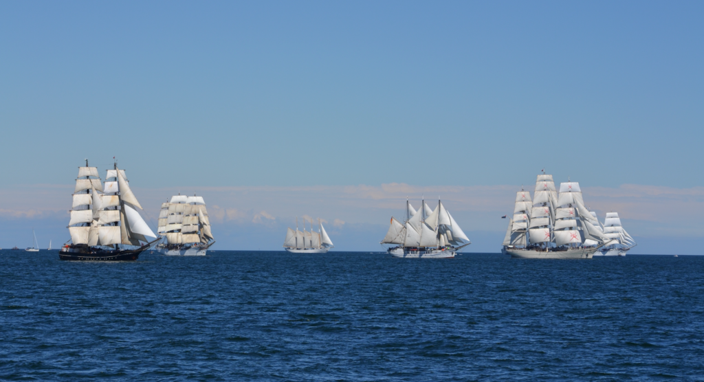 Tall ships line the horizon. How many RYA day skippers and yachtmasters are in this picture? Hundreds!