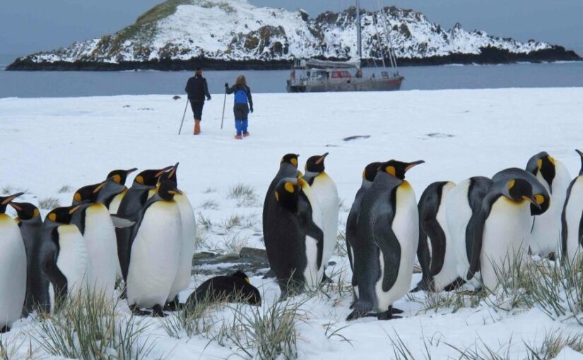 From Show Attendee to Show Exhibitor: My Journey Back to Southampton International Boat Show